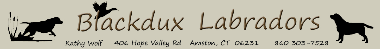 blackdux-logo